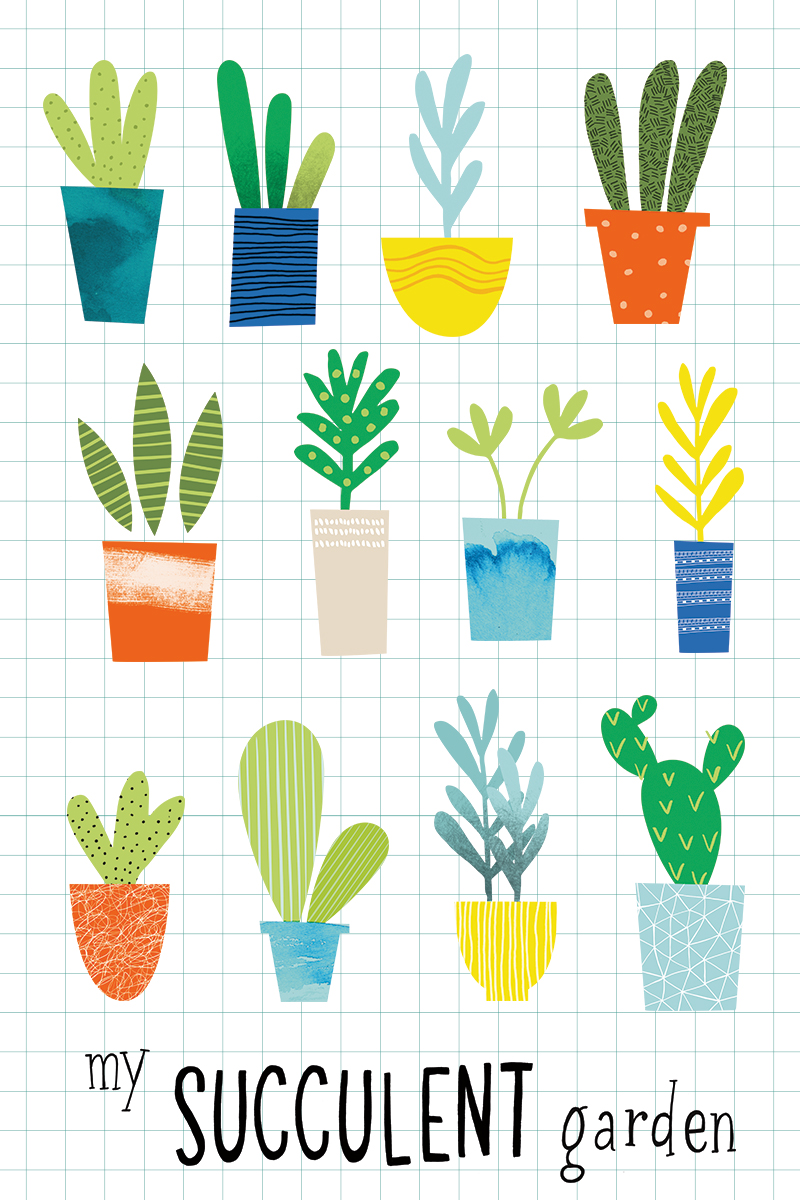 라마이 맥카탄 - My Succulent Garden