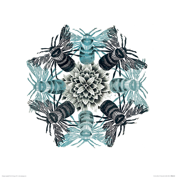 아만다 콜빌리 - Circle of Bees