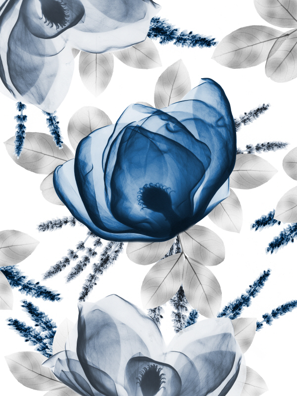 알버트 쿠치어 - Invigorating Beauty II