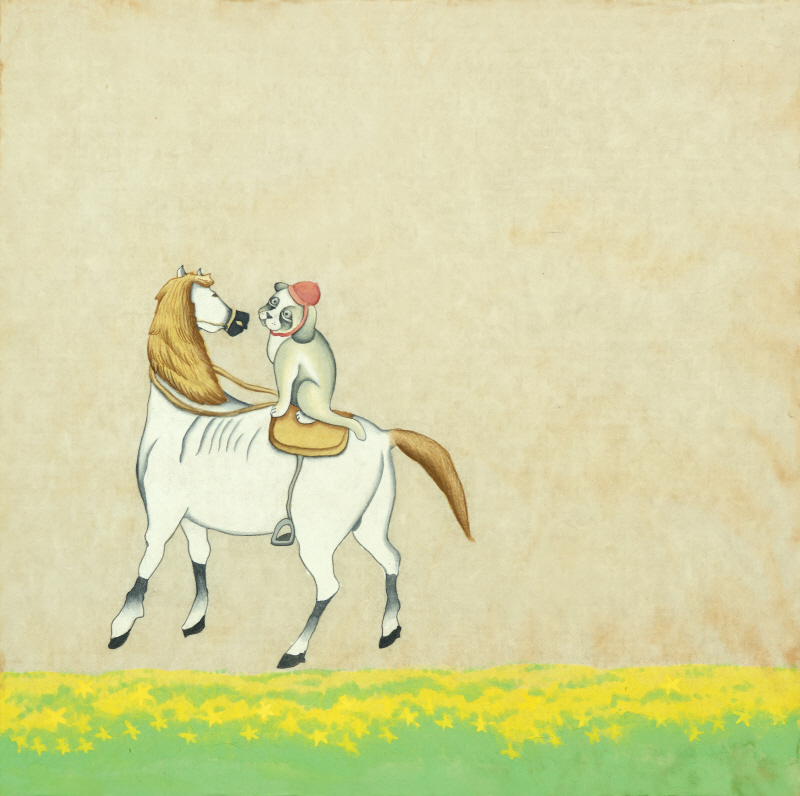 루씨쏜 - 말타다_유채꽃밭에서