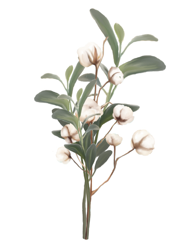 킴벌리 앨런 - Homebody XI