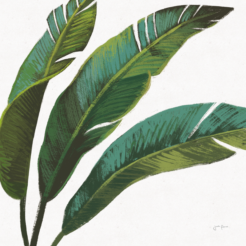 자넬 페너 - Welcome to Paradise XI on White