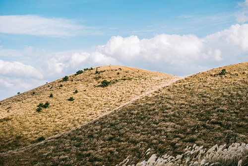 송광찬 - 언덕으로 지나갈 때