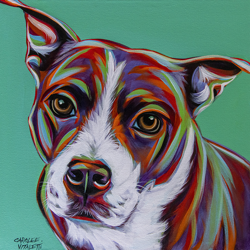 캐롤리 바이탈리티 - Kaleidoscope Dog I