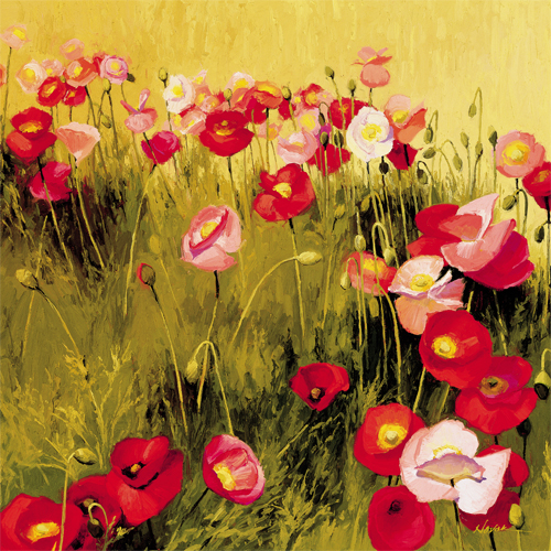 셜리 노박 - Bee's Mfg.,Inc.