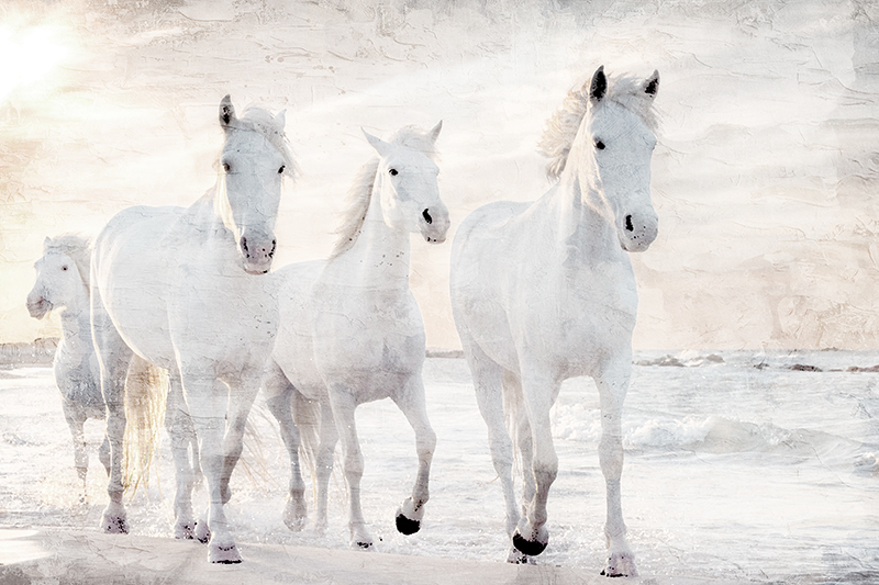 킴벌리 앨런 - Beach Runners