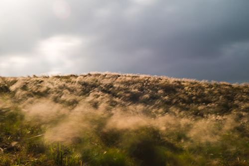 송광찬 - 바람부는 오름 II