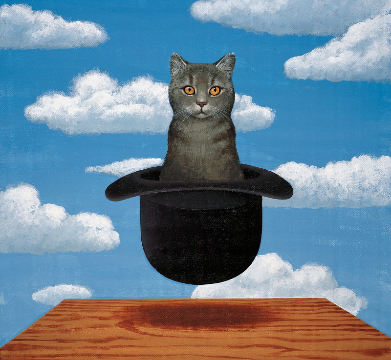 카멜레온 디자인 - Magritte Cat