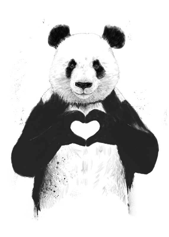 발라즈 솔티 - All You Need Is Love