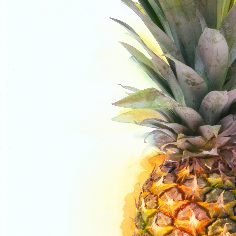 마이클 타린 - Pineapple Tri III crop