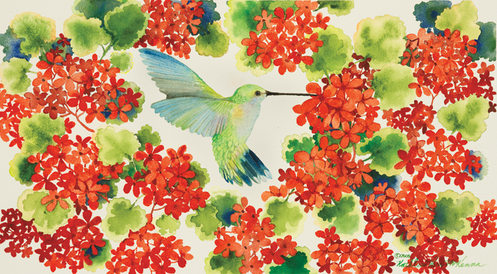 캐스린 파 멕케나 - Hummingbird In The Red