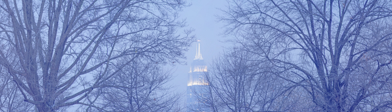 스티브 본 - NYC Winter
