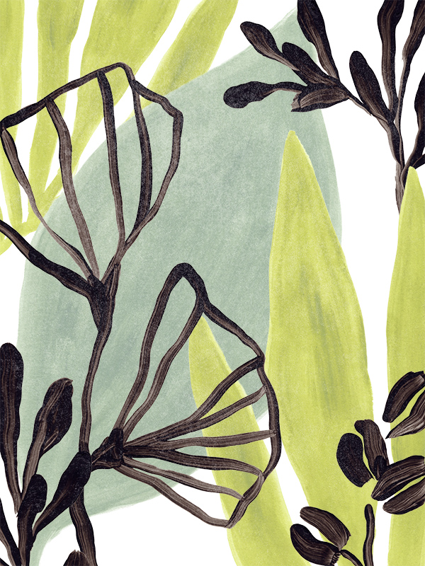 준 에리카 베스 - Tropical Collage Ⅱ