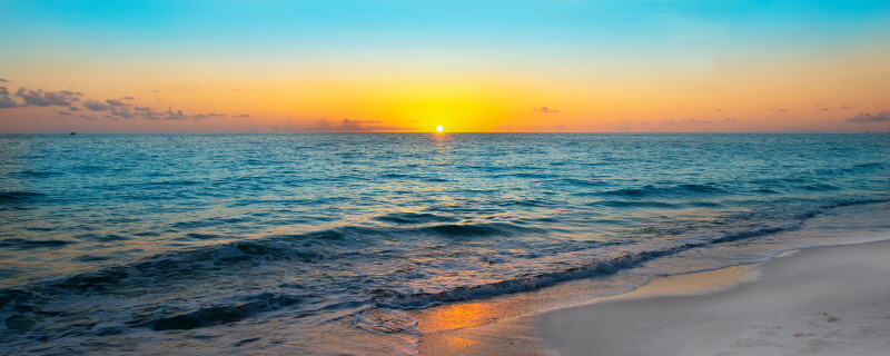 잭리드 - Golden Moment