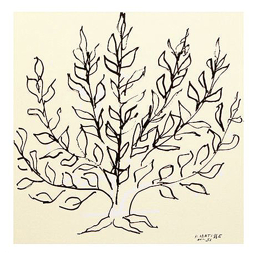 앙리 마티스 - The Bush (Le Buisson)