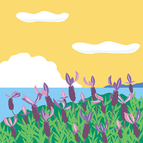 한명일 - 외도 야생화