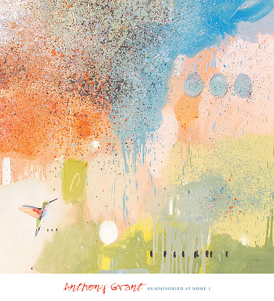 앤서니 그랜트 - Hummingbird at Home I
