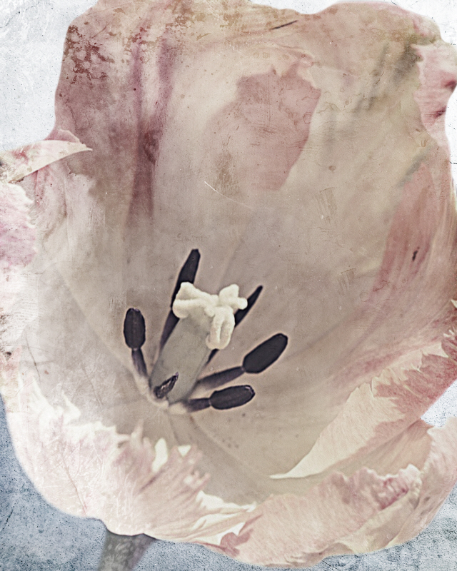 마르코 프라임 - Sweet Power I