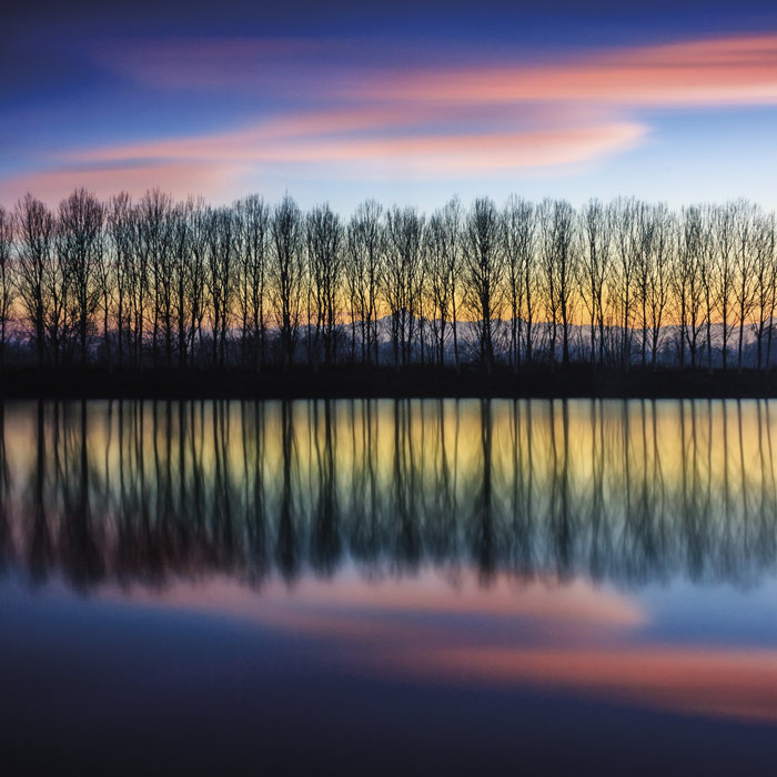 파울로 드 파베리 - Twilight Silhouettes