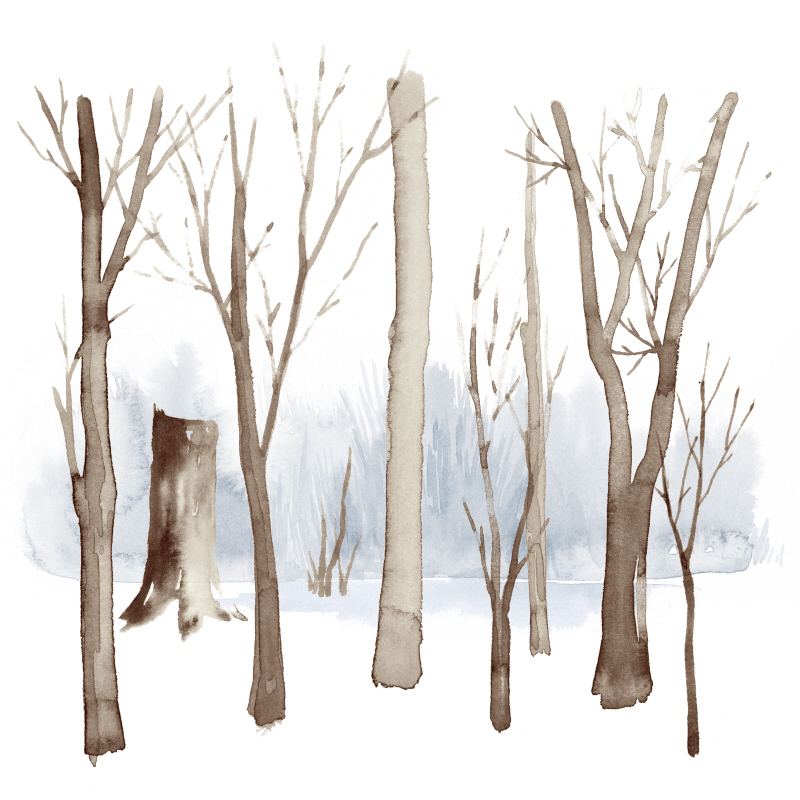 그레이스 포프 - Cypress Sounds Ⅱ