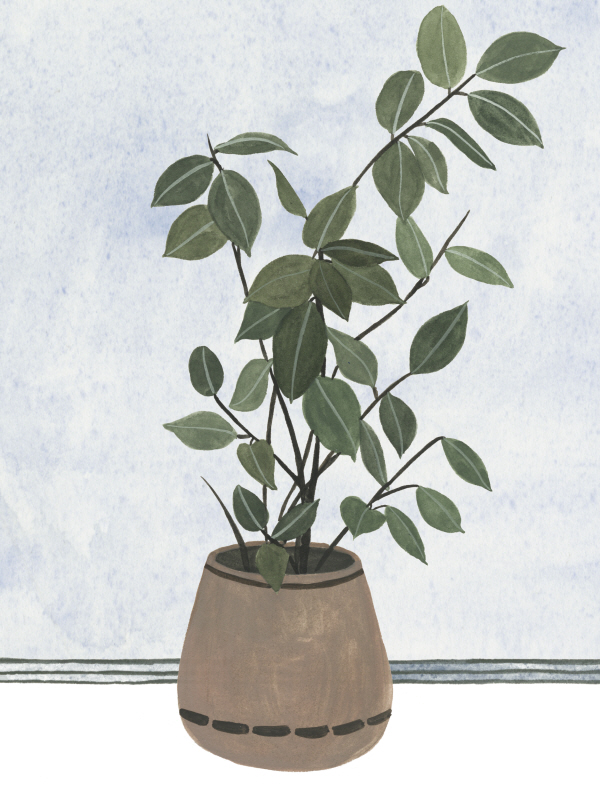 멜리사 왕 - Mes Plants I