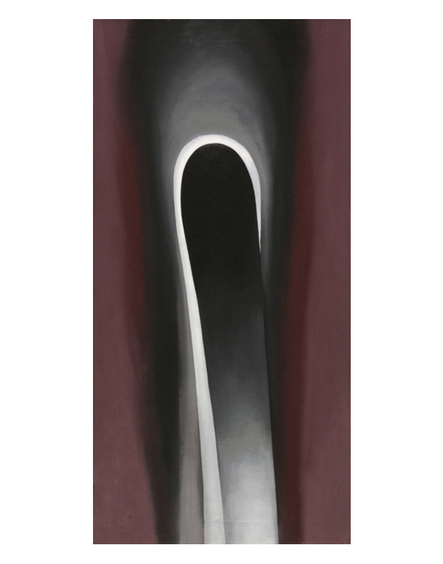 조지아 오키프 - Jack In The Pulpit No.Ⅵ