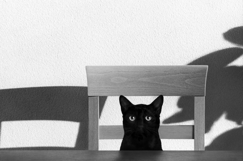 존 베르텔릭 - Where Is My Coffee?