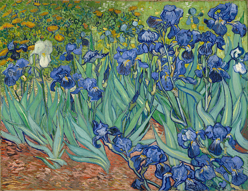빈센트 반 고흐 - Irises, 1889
