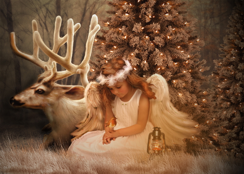 바베떼 - Christmas Angel