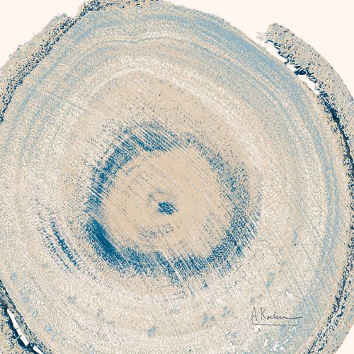 알버트 쿠치어 - Mineral Rings VI