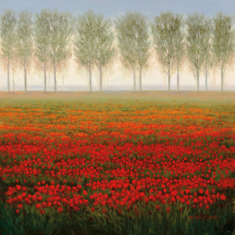 파크 - Morning Mist