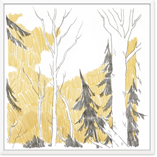 띠움모던화이트