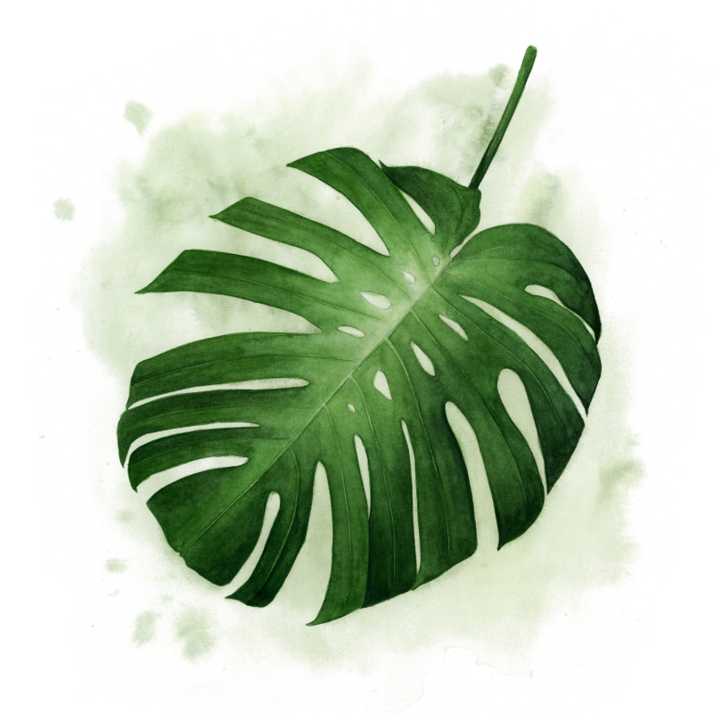 그레이스 포프 - Palm Wash II