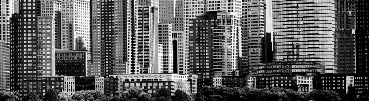 제프 피카 - Panorama 1141(b/w)