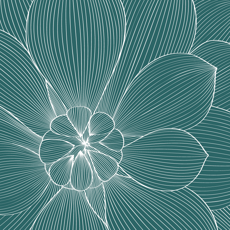 그래프아이엔씨 - Myrrhis odorata II