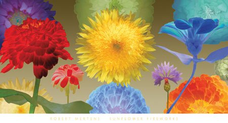 로버트 메르텐스 - Sunflower Fireworks