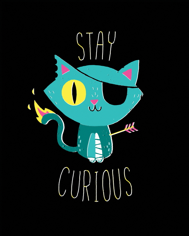 미쉘 벅스톤 - Stay Curious
