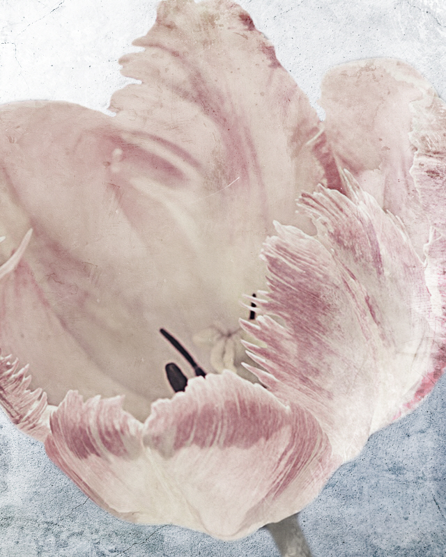 마르코 프라임 - Sweet Power II