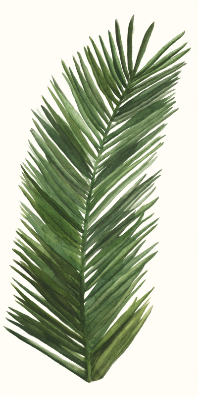 나오미 맥카비트 - Tropical Breeze Leaves V