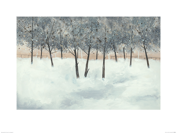 스튜어트 로이 - Silver Trees on White