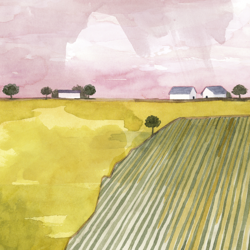 그레이스 포프 - Blush Hour I