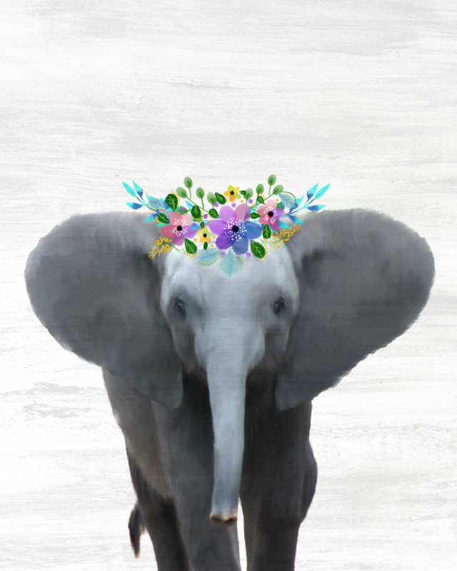 킴벌리 앨런 - Baby Elephant