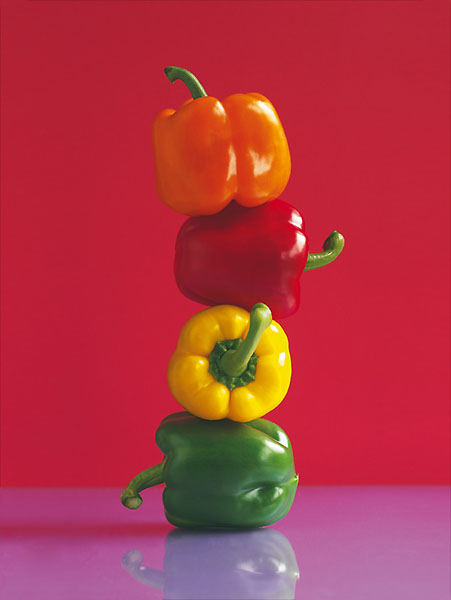 하워드 슈터 - Salsa