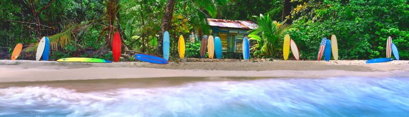 스티브 본 - Surf Heaven