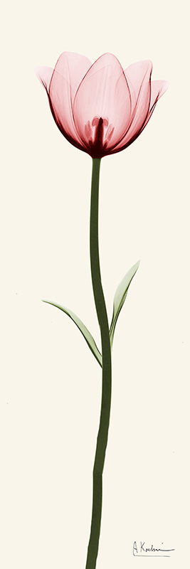 알버트 쿠치어 - Standing Tall I