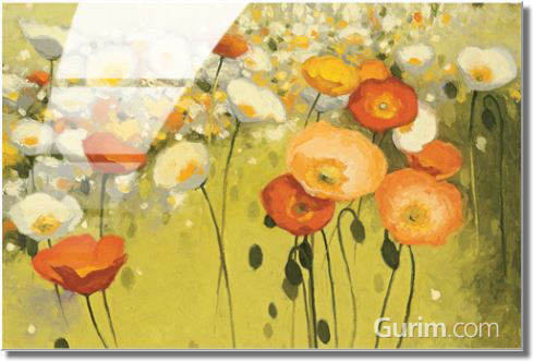 셜리 노박 - Spring Confetti