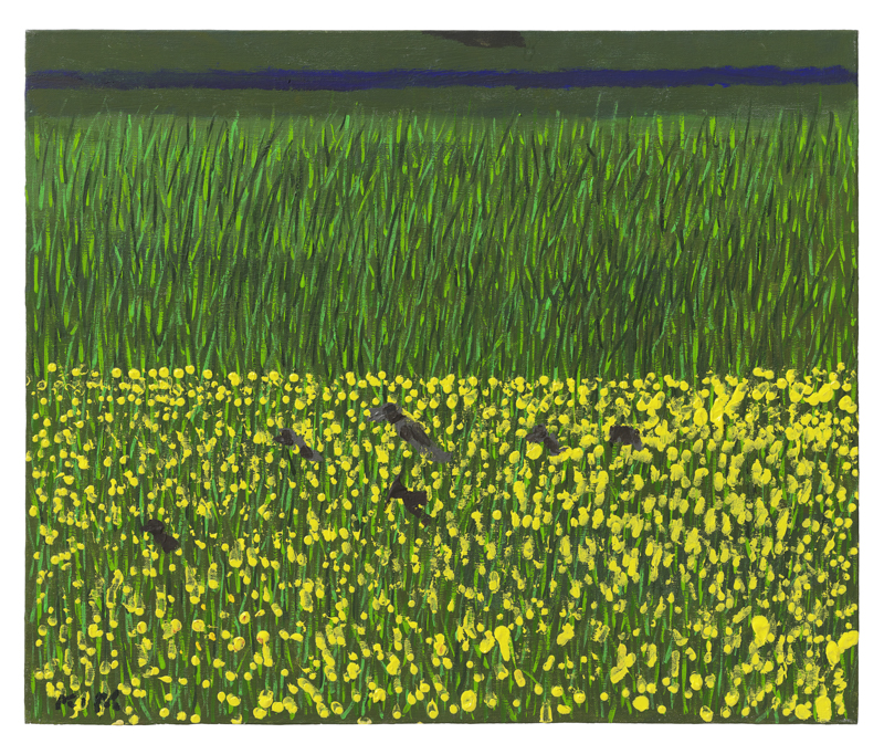 김종학 - Canola Field