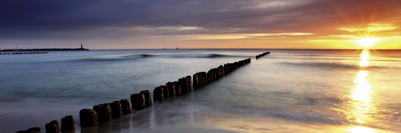 에프 라인 - Ocean Sunset