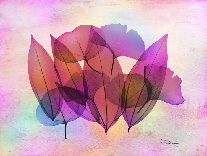 알버트 쿠치어 - Retroluxed Compostion I