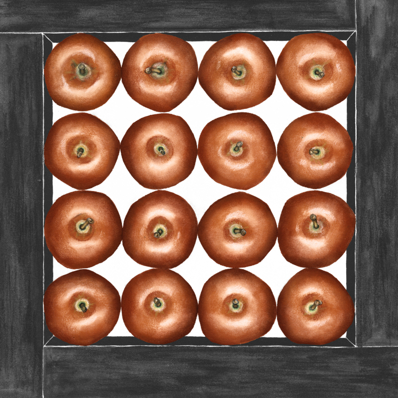 제니퍼 골드버거 - Red Apples Cubed